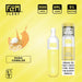Flum Float 3000 Puffs Disposable Vape 10-Pack Best Flavor - Nana Cobbler