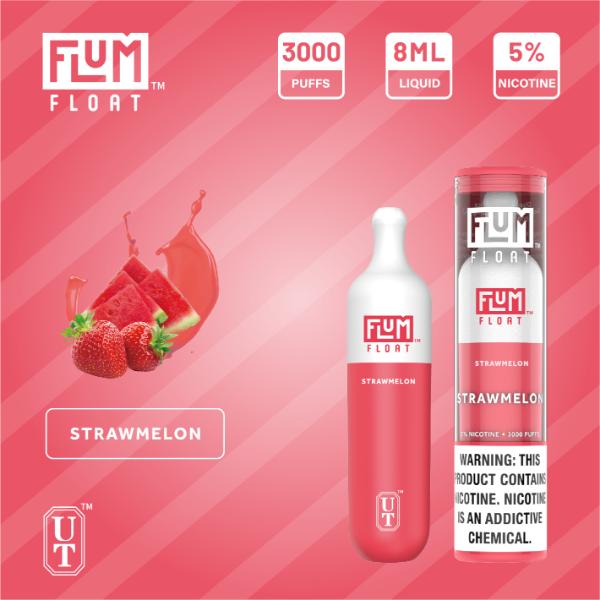 Flum Float 3000 Puffs Disposable Vape 10-Pack Best Flavor - Strawmelon