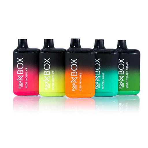 Fog X Box 6000 Puffs Rechargeable Vape Disposable 13mL 10 Pack Best Flavors Aloe Lychee Ice Honeydew Ice Iced Peaches Frozen Mint Green Tea Ice Cream