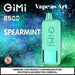 Gimi 8500 Puffs Flum Disposable Vape 14mL Best Flavor Spearmint
